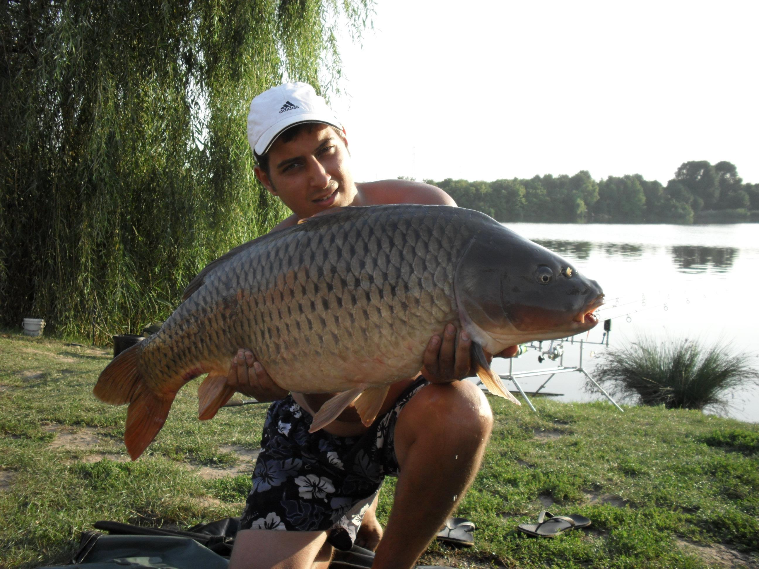 somn mania tancabesti - SAM_0867.JPG